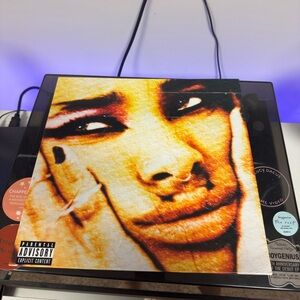 lately i feel everything willow vinyl